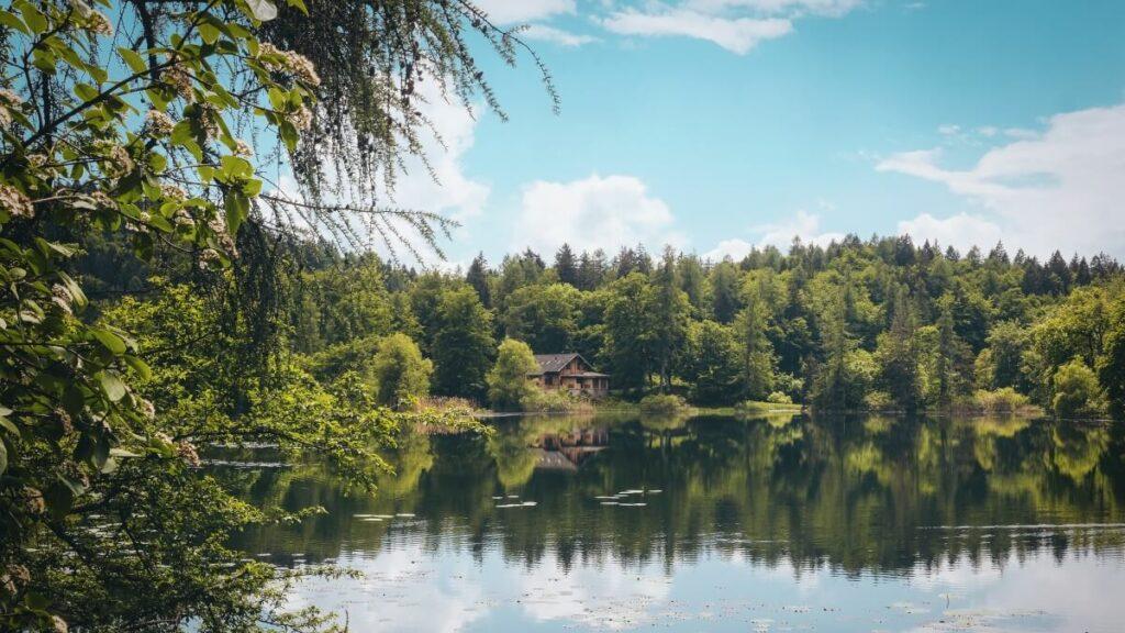 Wasserhärte Wien Wienerwald Quelle